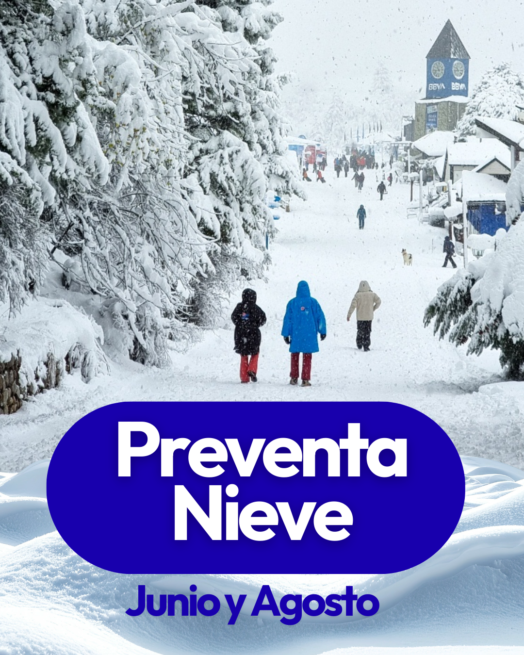 Preventa Nieve 2026