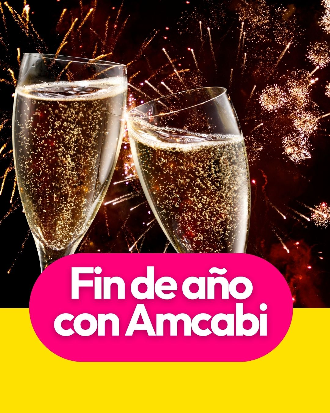 Fin de Año con Amcabi