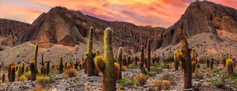 Salta La Linda | Vacaciones de Invierno